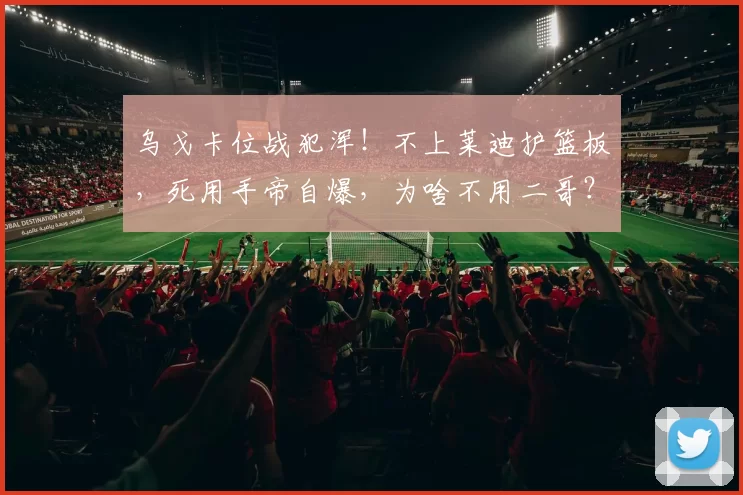 乌戈卡位战犯浑！不上莱迪护篮板，死用手帝自爆，为啥不用二哥？