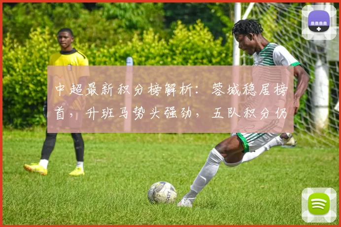 中超最新积分榜解析：蓉城稳居榜首，升班马势头强劲，五队积分仍为负_铜梁_本赛季_比赛