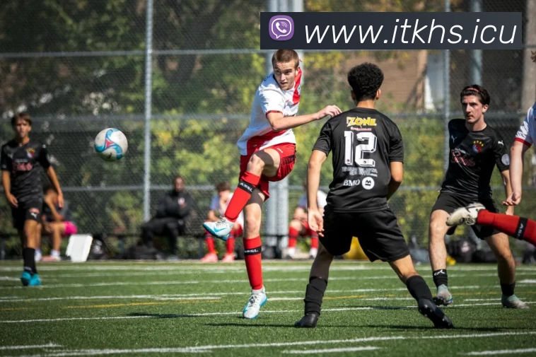 九游(中国)体育第一门户 - 官方网站服务体系